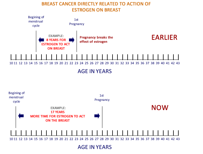 Core Biopsy Needle for Breast tumour 